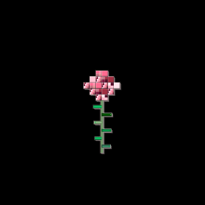 La Floristeria flower #5